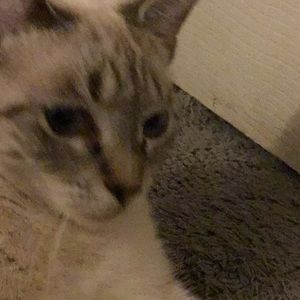 Meet your Posher, Marie